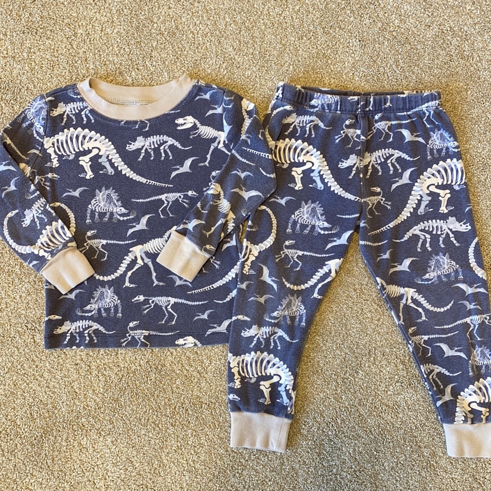 Pottery Barn Kids Glow in Dark Dino PJs